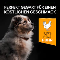 Hrană uscată pentru pui de talie medie Pro Plan Medium Puppy Healthy Start cu pui – 12 kg 2