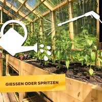PROTECT HOME Solabiol ekstrakt poljske preslice, biološko sredstvo za jačanje biljaka sklonih gljivičnim infekcijama, 1 litra 7