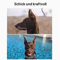 Pssopp Plasture pentru Corecția Urechilor la Câini, Dispozitiv de Susținere și Fixare pentru Urechi de Doberman, Suport Vertical (#3) 5