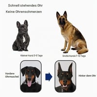 Pssopp Plasture pentru Corecția Urechilor la Câini, Dispozitiv de Susținere și Fixare pentru Urechi de Doberman, Suport Vertical (#3) 4