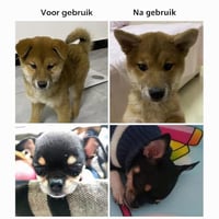 Pssopp Plasture pentru Corecția Urechilor la Câini, Dispozitiv de Susținere și Fixare pentru Urechi de Doberman, Suport Vertical (#3) 7