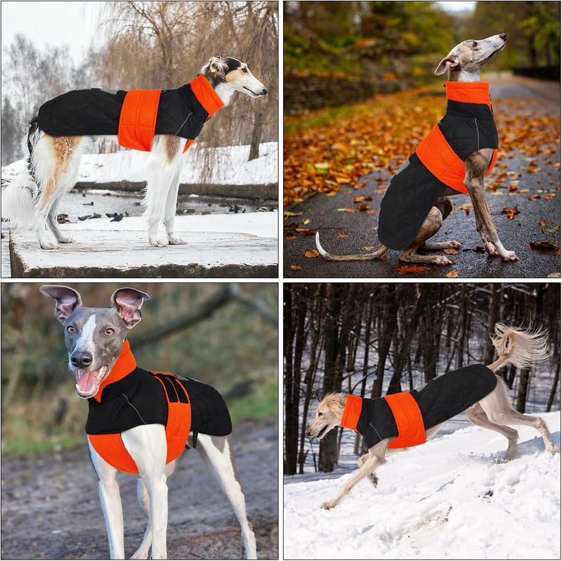 PUMYPOREITY Greyhound Téli Kabát XXXL Vízálló Polár Kutyaruha Piros - 3XL, orange