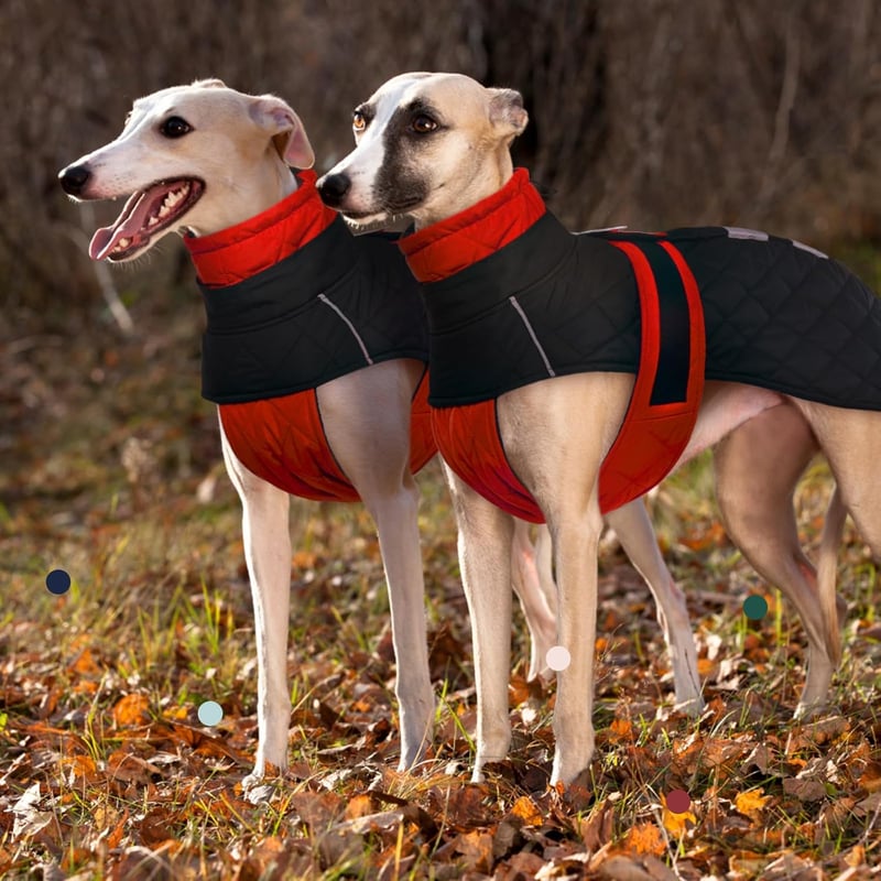 PUMYPOREITY Greyhound Téli Kabát XXXL Vízálló Polár Kutyaruha Piros - 3XL, orange
