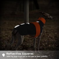 PUMYPOREITY Greyhound Téli Kabát XXXL Vízálló Polár Kutyaruha Piros - 3XL, orange 5