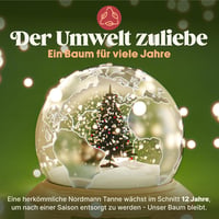 Pure Living Premium Műfenyő 250 cm - Élethű Nordmann Fenyő Sűrű Ágakkal, Fa Állvánnyal és Tárolózsákkal, Tűzbiztos PVC/PE Anyagból 4