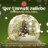 Pure Living Premium Műfenyő 120 cm - Élethű Karácsonyfa Fa Állvánnyal és Tárolózsákkal - Sűrű Ágak, Lángálló, Könnyen Összeszerelhető 8