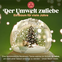 Pure Living Premium Műfenyő 220 cm - Élethű, Sűrű Ágak, Fa Állvánnyal és Tárolózsákkal, Tűleveleket Nem Hullató Nordmann Fenyő Karácsonyfa - 220 cm, Without light 8