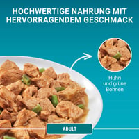 PURINA ONE Adult mokra hrana za mačke, miješani odabir, 40 x 85 g 5