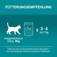 PURINA ONE Adult mokra hrana za mačke, miješani odabir, 40 x 85 g 8