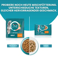 PURINA ONE Bifensis Adult suha hrana za mačke s lososom, 6 x 750 g 6