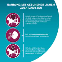 PURINA ONE BIFENSIS Urinary Health hrană uscată pentru pisici, bogată în pui - Sănătatea tractului urinar - 6 x 750 g 3