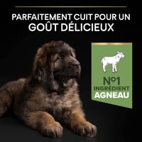 Purina Pro Plan Sensitive Digestion suha hrana za štence velikih pasmina s janjetinom - za zdravu probavu - 12 kg 7