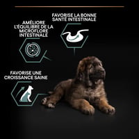 Purina Pro Plan Sensitive Digestion suha hrana za štence velikih pasmina s janjetinom - za zdravu probavu - 12 kg 6