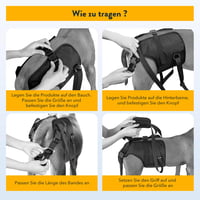 PZRLit Kutyahordozó Segítővest Idős Kutyáknak Hátsó Lábsérüléshez Hordszíjjal - Groß 7
