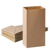 QiXinGYL Malá papierová taška 50 ks, 15x9x27 cm, súprava darčekových a nákupných papierových tašiek 1