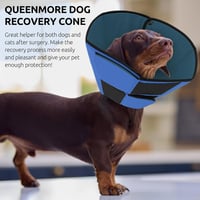 Queenmore Helyreállítási Nyakörv Közepes Kutyáknak Műtét Után 6