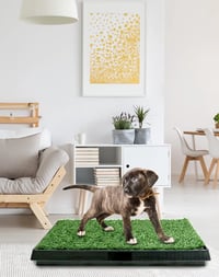 Toaletă pentru câini QWORK cu iarbă artificială 63x51 cm, tăviță pentru căței cu 3 straturi și scurgere, covoraș absorbant lavabil pentru câini de talie mică și medie, pentru interior și balcon 6