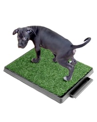 Toaletă pentru câini QWORK cu iarbă artificială 63x51 cm, tăviță pentru căței cu 3 straturi și scurgere, covoraș absorbant lavabil pentru câini de talie mică și medie, pentru interior și balcon 1