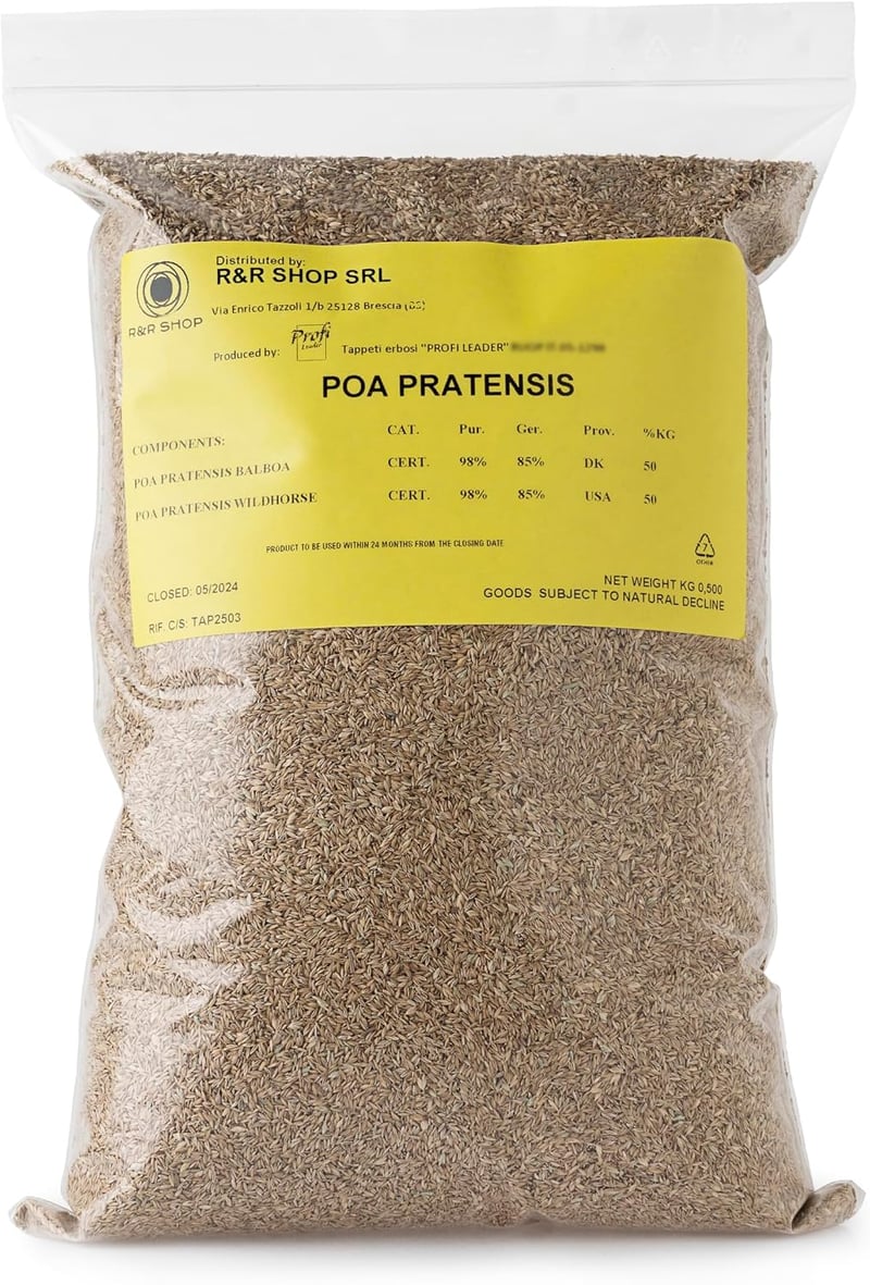 R&R Poa pratensis pázsitfűmag önmegújuló és ellenálló gyephez 500 g 20 m2