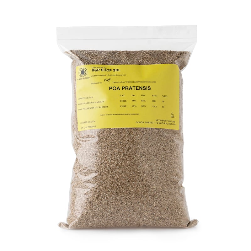 R&R Shop Poa pratensis trávové semeno pre samoobnovujúci sa trávnik - 500 g / 20 m²