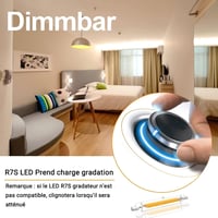 R7S LED izzó 118mm 20W dimmelhető, lineáris COB filament, 360° sugárzás, 2db 3