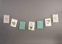 Ramă pentru sită de hârtie Rayher, natur, 30 x 21 cm, potrivită pentru hârtie de până la 25 x 16 cm, pentru fabricarea hârtiei artizanale 9