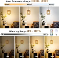Rayofly Rattan Függőlámpa Akkumulátoros 2db Távirányítóval Kültéri Kerti Lámpa 3