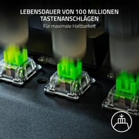 Sada mechanických spínačov Razer – Zelený "clicky" spínač, 3. generácia, balenie, priehľadný kryt, šošovka pre LED, životnosť 100 miliónov stlačení 6
