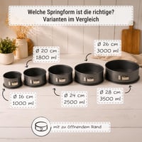 Formă de tort cu arc RBV Birkmann 28 cm rotundă – Oțel carbon gri, strat antiaderent de marcă, margine extra înaltă de 9 cm, protecție împotriva scurgerilor 6