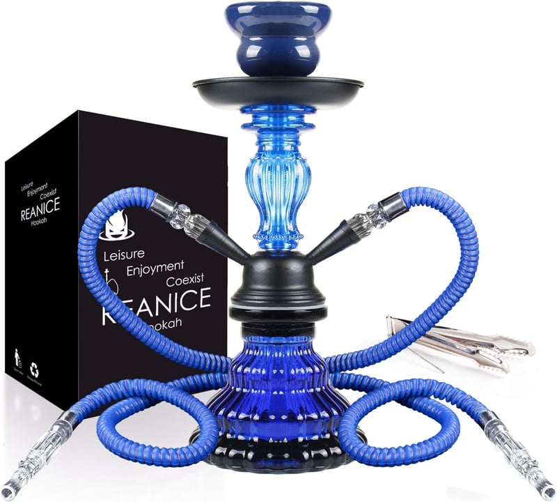 REANICE 11 Colos Vízipipa Szett 2 Csővel - Kék Üveg Shisha Hőkezelő Rendszerrel, Kerámia Dohánytartóval és Kiegészítőkkel - blake, Glass