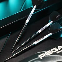 Set de Darts cu Vârf Fix RED DRAGON Pegasus Professional, 80% Tungsten, 21g - Include Fluturași, Tije și Toc 7