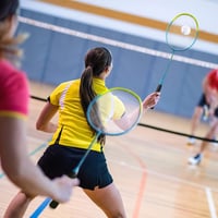 Redfield Badminton szett 2 ütővel, tollaslabdával és táskával 7