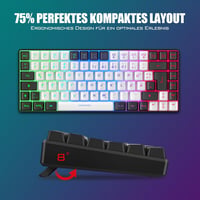 RedThunder 75% Vezeték Nélküli Gamer Billentyűzet és Egér Szett, TKL Német Kiosztás, RGB Háttérvilágítás, 7200DPI Méhsejt Egér, PC/Mac/PS5/X 6