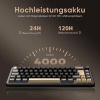 RedThunder K65 65% Wireless Mechanikus Gaming Billentyűzet QWERTZ RGB Retro 8
