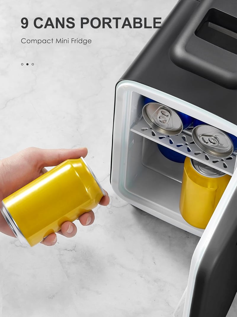 Reemix 6L hordozható mini hűtőszekrény - italok, kozmetika, ételek tárolásához