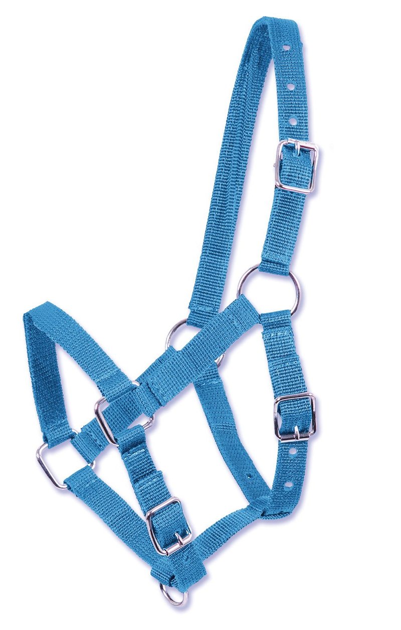 Ohlávka pre žriebätá Reitsport Amesbichler, nylon - modrá - veľkosť Minishetty/Shetty