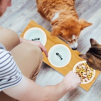 Relaxdays stalak od bambusa s 3 keramičke zdjelice, za mačke i male pse, perivo u perilici posuđa, prirodna boja, veličina L 3