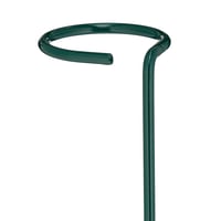 Relaxdays metalni potporanj za biljke s prstenom, set od 10 komada, 60 cm, tamnozeleni, vrtni kolac za rajčice, metalna šipka za potporu biljkama 5