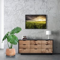 Suport mobil extensibil pentru plante Relaxdays, 44x44-70x70 cm, pentru interior și exterior, gri/argintiu 5