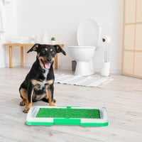 Relaxdays műfű szőnyeg balkonra, teraszra, beltérre - 4 db szintetikus füves szőnyeg 5