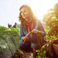 Relaxdays Ochranná sieť na rastliny 5 m, sieť na zeleninu proti škodcom a hmyzu, jemná sieťovina s oblúkmi, čierna 5