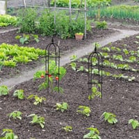 Relaxdays obelisk potporanj za biljke, set od 2 komada, 70x20 cm, metalni, samostojeći potporanj za penjačice, toranj za ruže, crni 2