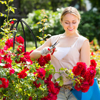 Suport pentru plante Relaxdays, set de 2, auto-susținut, pentru trandafiri și plante cățărătoare, rezistent la intemperii, 139 cm și 149 cm, negru 3