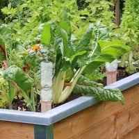 Set de 4 conuri de irigare din teracotă Relaxdays, pentru sticle PET de 1,5 L, pentru plante de apartament și jardiniere de balcon 2