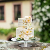 Relaxdays Platou pentru tort cu picior, Ø 30 cm, Platou rotativ pentru servire, Sticlă și oțel inoxidabil, Transparent/Argintiu 5