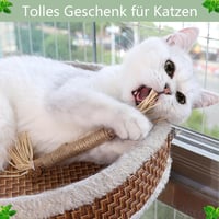 RELONGGI Matatabi Macskajáték 6db 23cm Fogápolás Macskamenta Stresszoldás 7