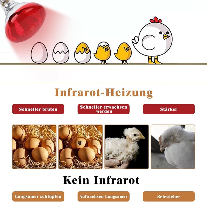 REPTI HOME 250W infravörös hőlámpa R125 csomag 2db - E27 hőmérsékleti lámpa