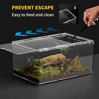 Terárium Reptile Growth z PC s magnetickým uzáverom, 30x20x15 cm, chovný box vhodný pre tarantuly, jašterice, hmyz, ryby a kraby 5