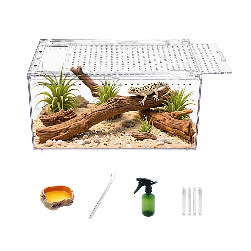 Terárium Reptile Growth z PC s magnetickým uzáverom, 30x20x15 cm, chovný box vhodný pre tarantuly, jašterice, hmyz, ryby a kraby