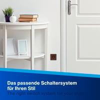 REV Nova Switch Series falba süllyesztett aljzat fedőlappal, diófa színű 8